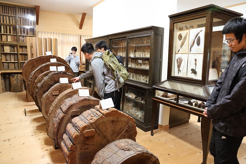 標本館ではめずらしい標本に見入りました