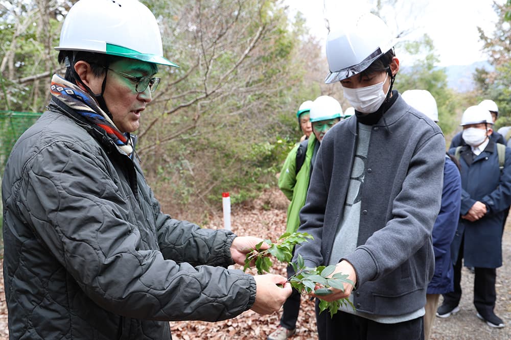 フィールドでは実際に植物を手に取って説明を受けました